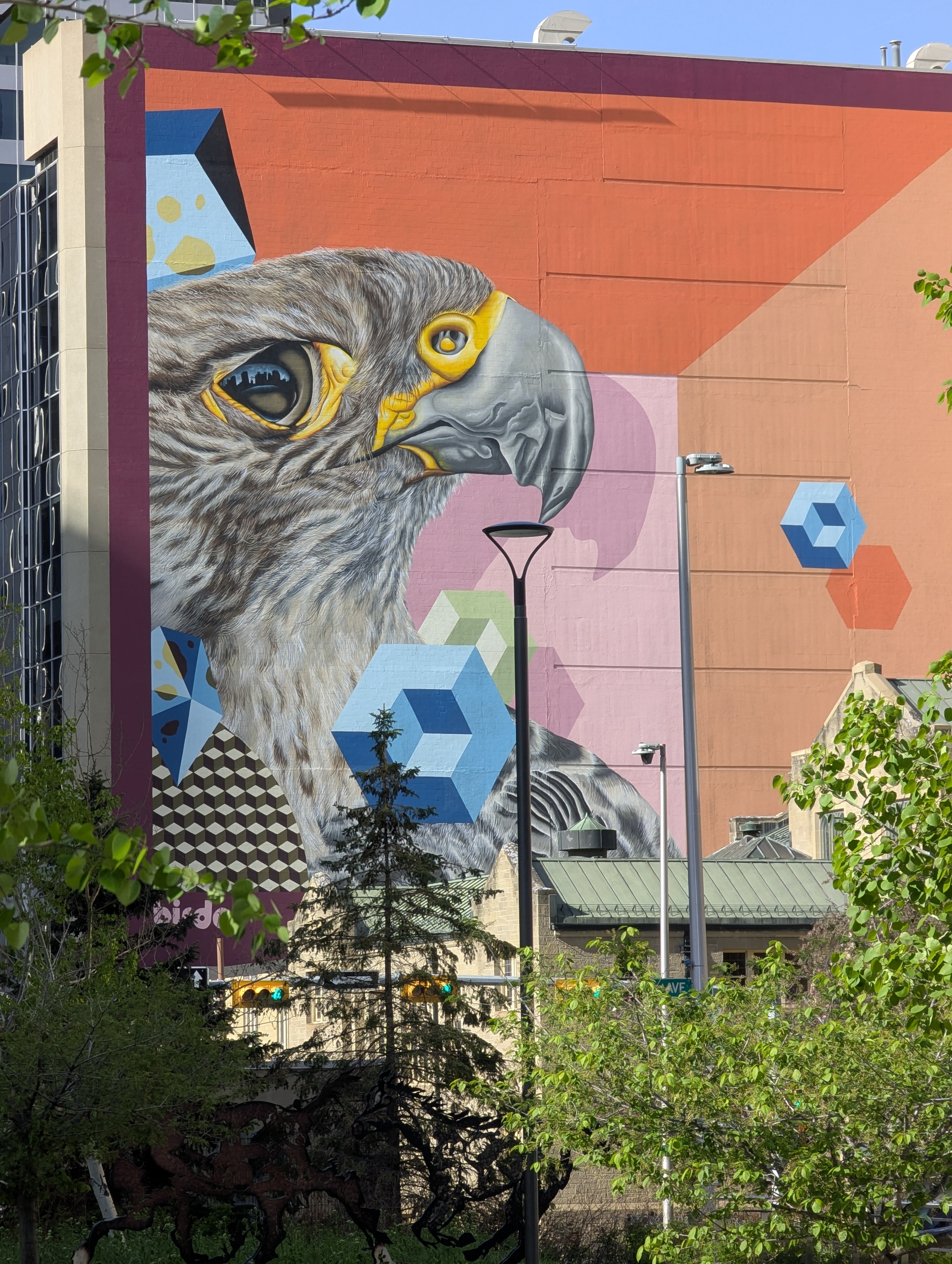 Birthday Trip to Canada, Calgary